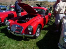 1st Place Coupe
