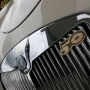 Photo for Winter 2011 Newsletter