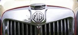 Photo for March 2010 Newsletter