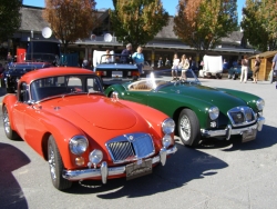Photo for February 2011 Newsletter