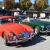 Photo for February 2011 Newsletter