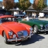 Photo for February 2011 Newsletter