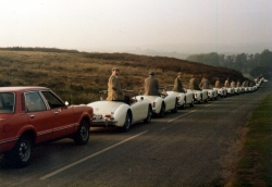 Photo for Eighteen Old English White MGA’s