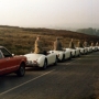 Photo for Eighteen Old English White MGA’s