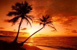 Photo for 2011 Key West Gathering