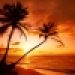 Read NAMGAR Regional Events