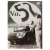 Photo for Restoring Sebring MGA DVD